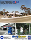 Smog Station Small Pic